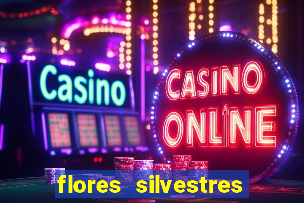 flores silvestres desbravadores desbravadores 25